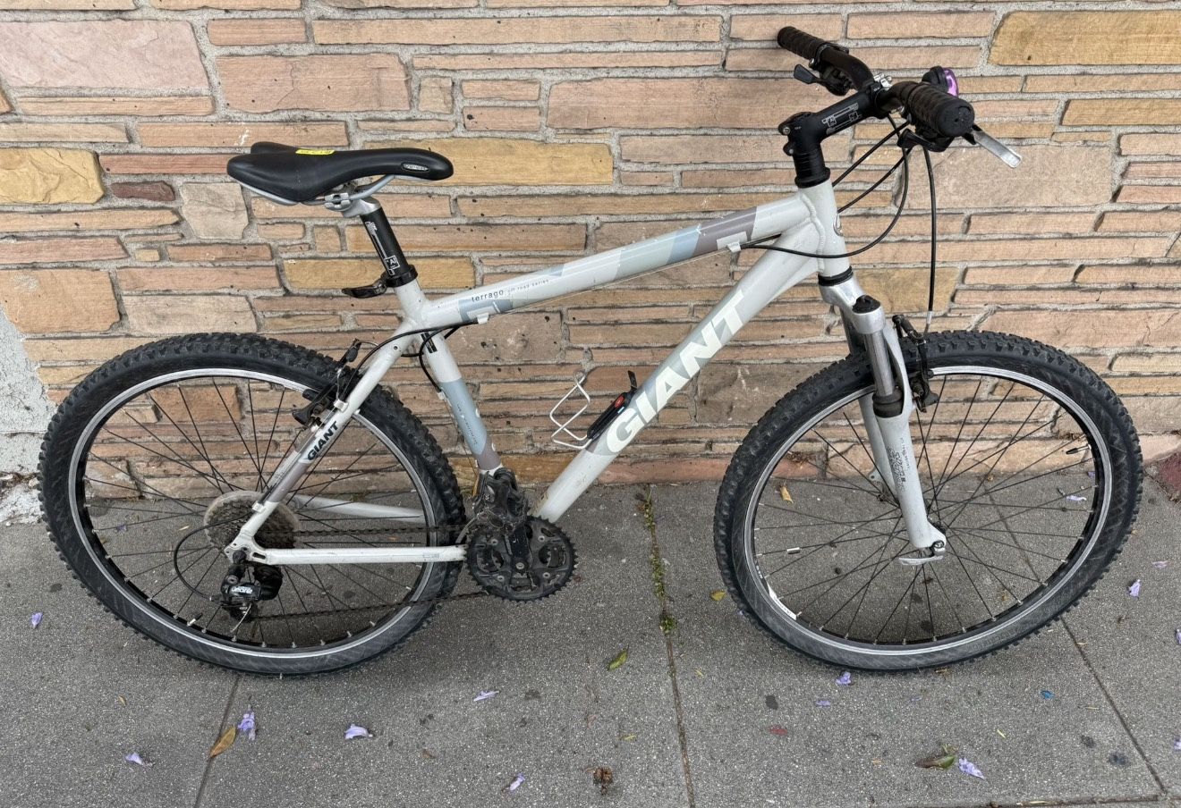 GIANT Terrago bike