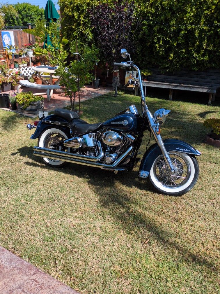 HARLEY DAVIDSON