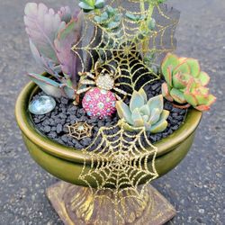 💎 “Glam Spider Garden” Succulent Arrangement 💎
