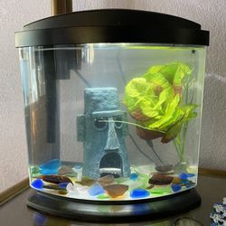 Fish Tank 2 Gallon 