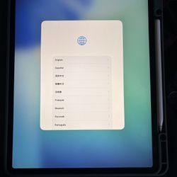 iPad Pro 12.9 In 