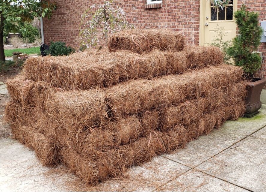 Pine straw