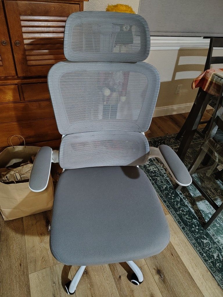 Computer Chair