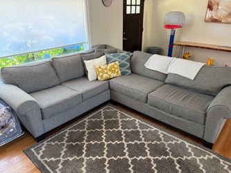 Grey Sectional Couch need gone