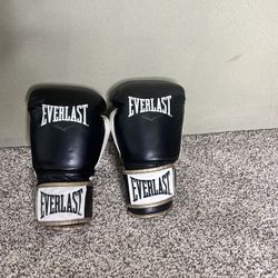 Everlast 14oz Gloves