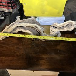 Bird or Reptile  Mantenida Wood Sanded, And Pink Ready