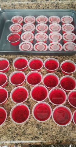 Jello cups