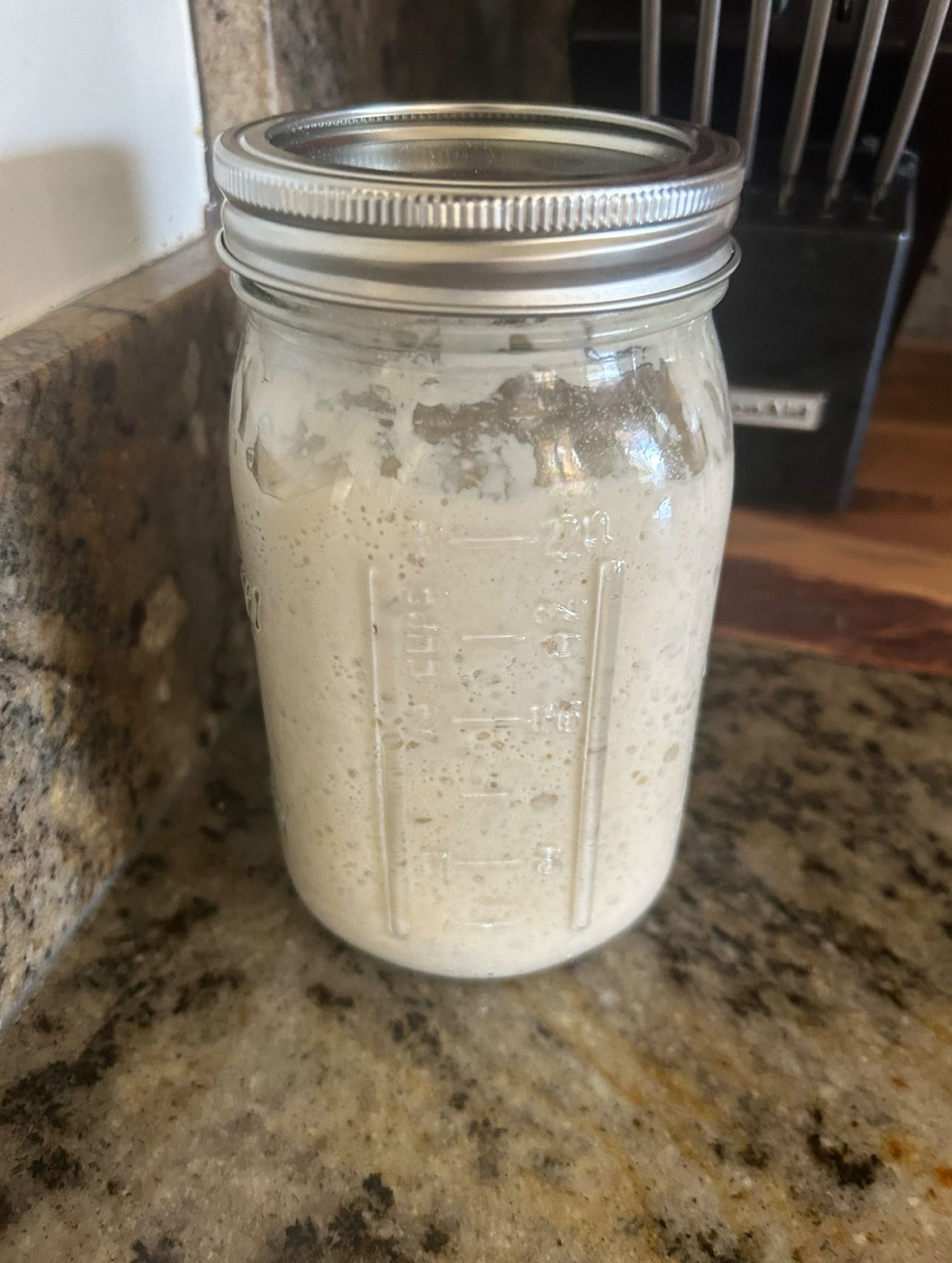 Organic Sourdough Starter