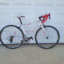 Focus Izalco Ergo-R, 48cm