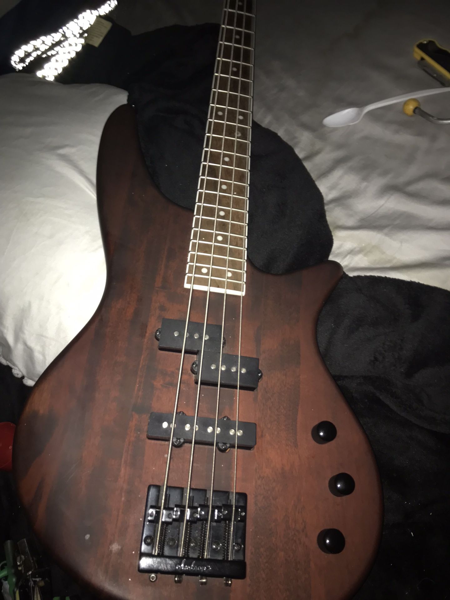 Expensive Jackson electric guitar for the low