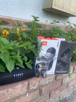 JBL Flip 7