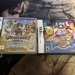 DS Games