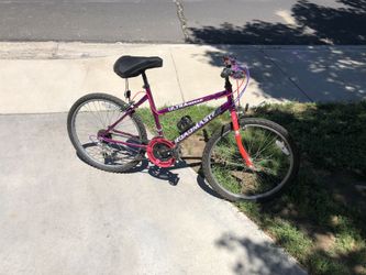 Mountain bike