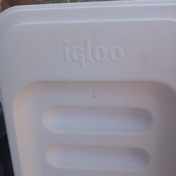 Cooler For Sale 20 Gallons