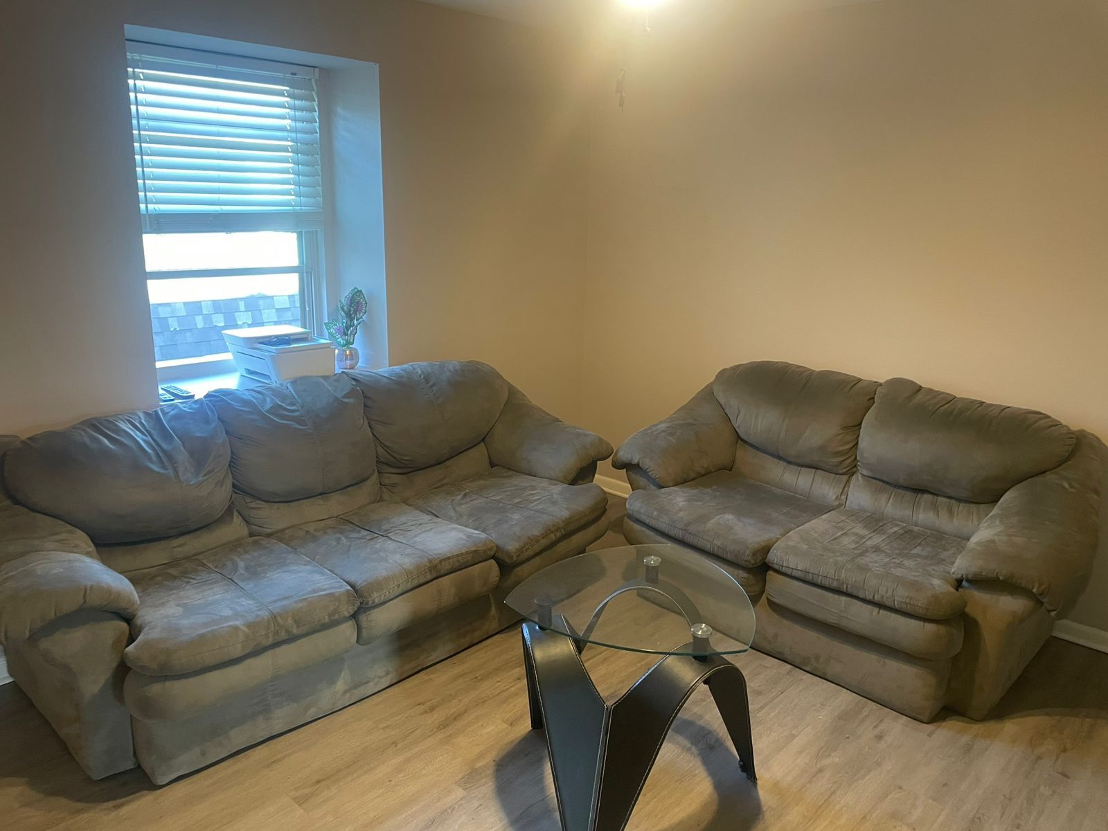 Two Sofas