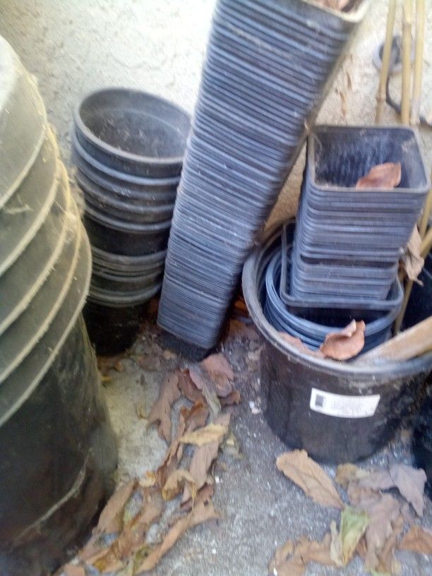 Flower Pots