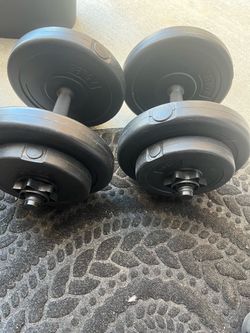 2 20lb dumbbells
