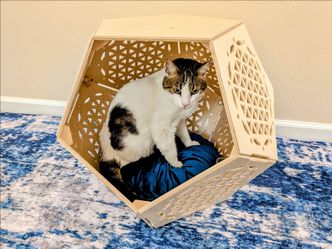 Hardwood Cat Cave House / Side Table