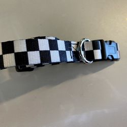 Vans event exclusive dog cat pet collar 