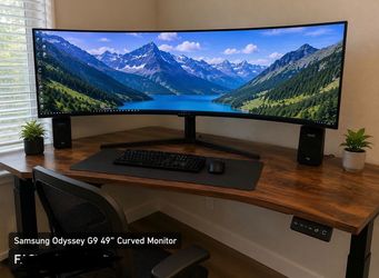 Curved monitor and standing desk (in Auburn storage unit)