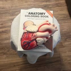 DENOYER- GEPPERT HEART Model And Anatomy Coloring Book 