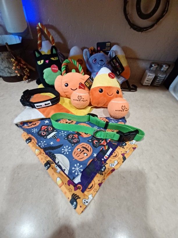 New Lot Of Dog Toys  Collars, & Neck Ties