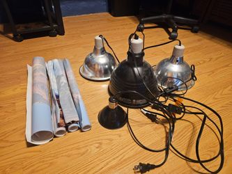 Reptile light fixtures and tank backgrounds