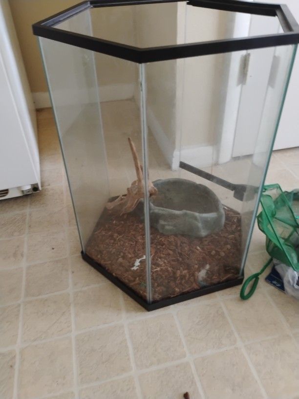 Reptile Tank