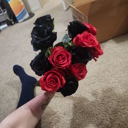 A Dozen Fake Red Black Roses 
