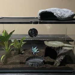Reptile Terrarium - 10 Gallon