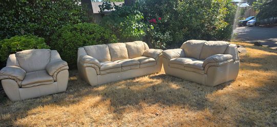 Couches