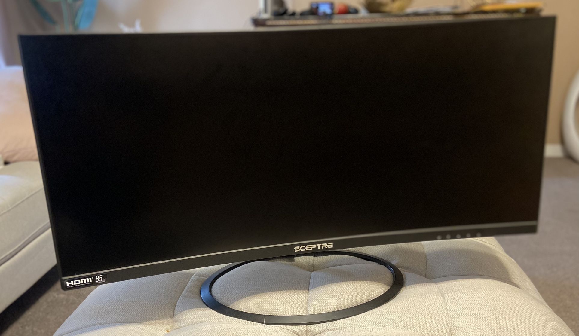 Lightly Used Sceptre 30" 85hz Curved Gaming Monitor (C305W-2560UN)