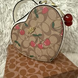 Corazones Bolsas $55.00 Cada Uno 