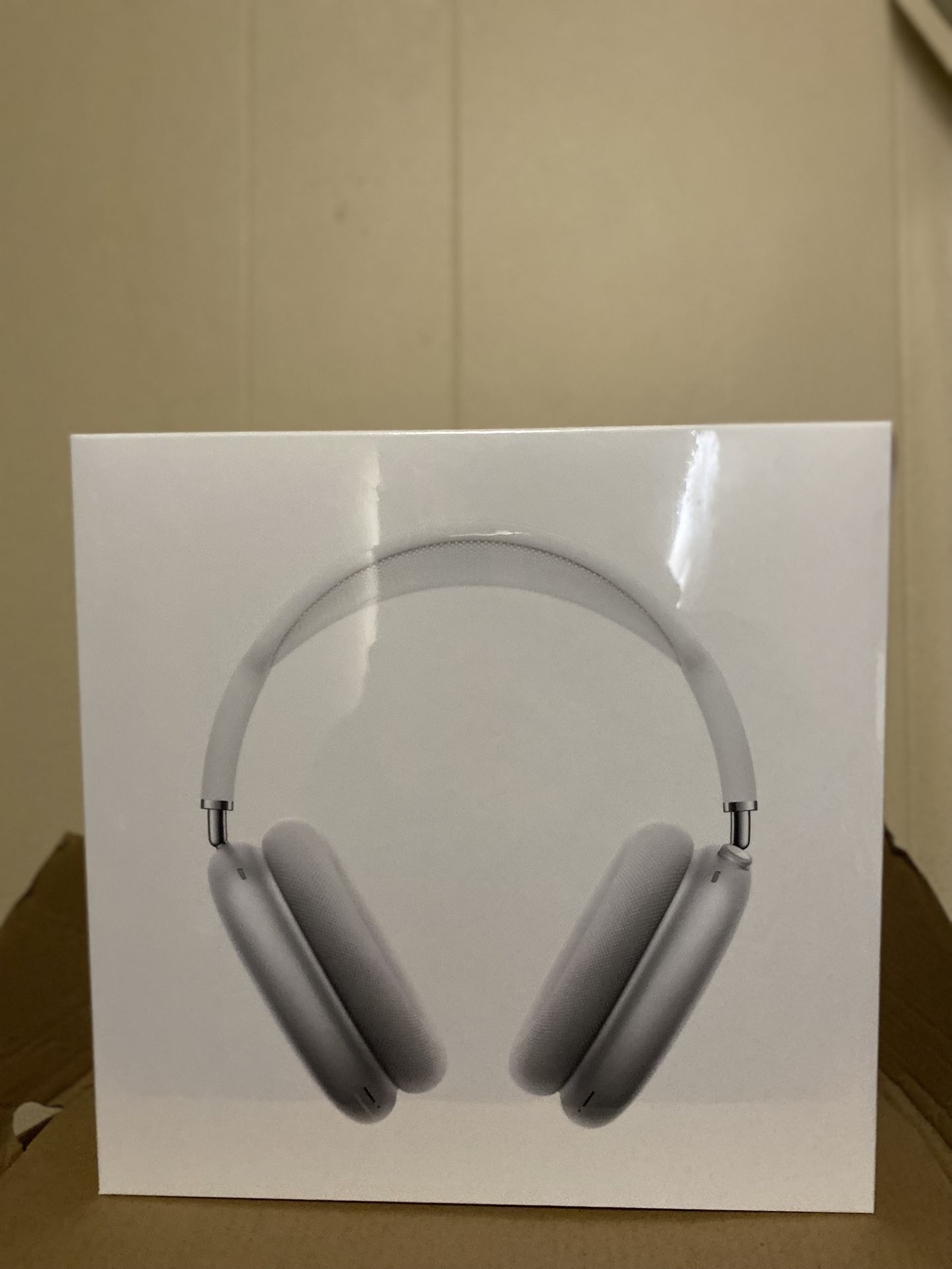 Air Pod Pro Maxes