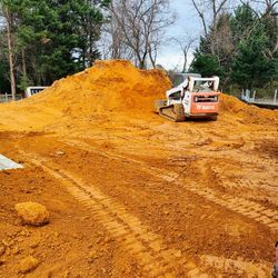 Free Dirt & Free Delivery.