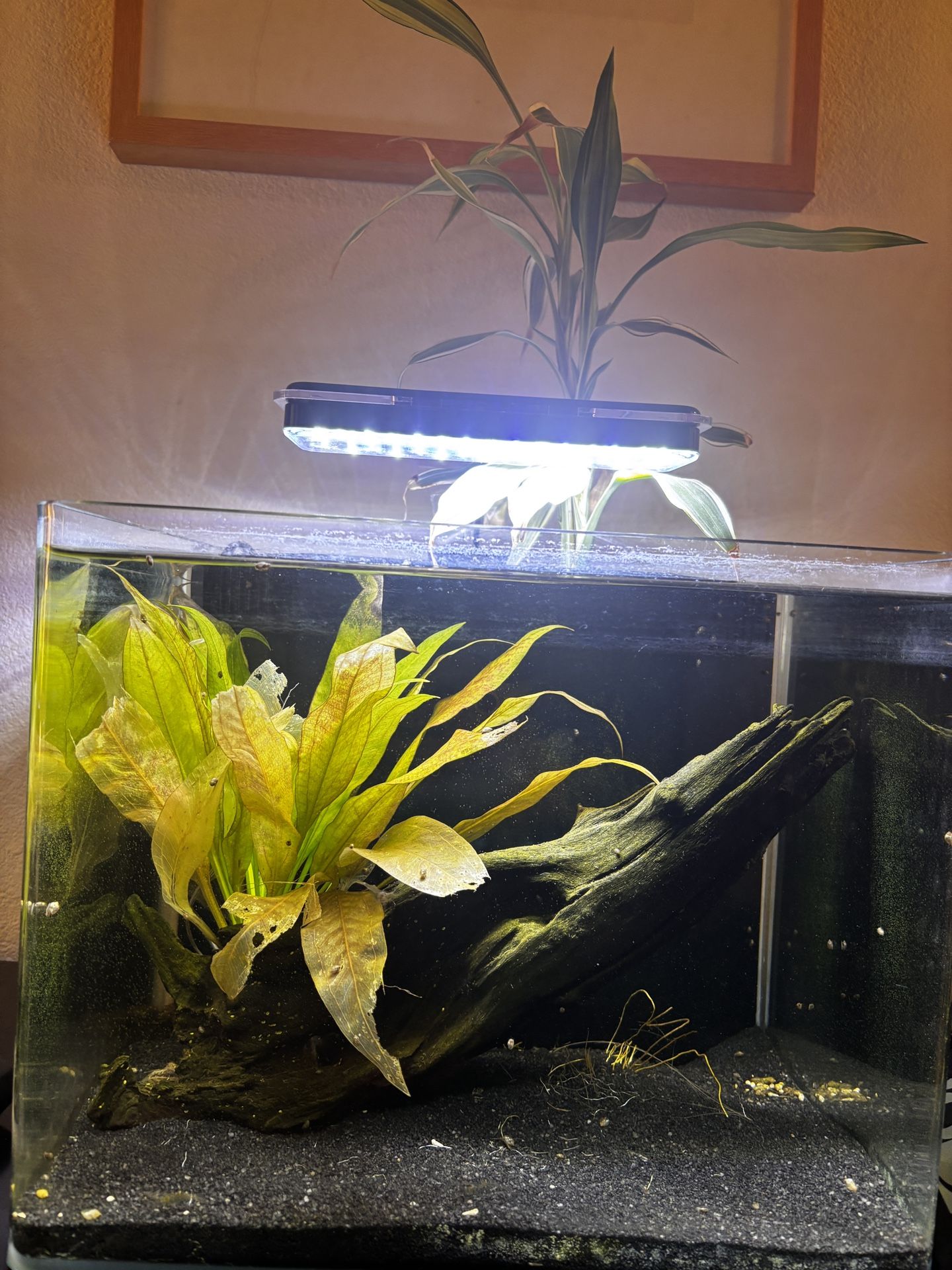Aquarium
