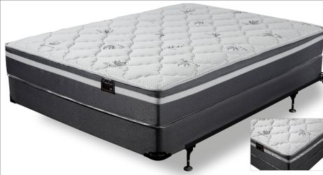 Cambria Mattress with Box Spring Set