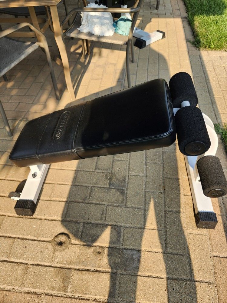 Ab Bench Nautilus And 10lb Weight Ball