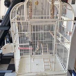 Parrot cage birdcage