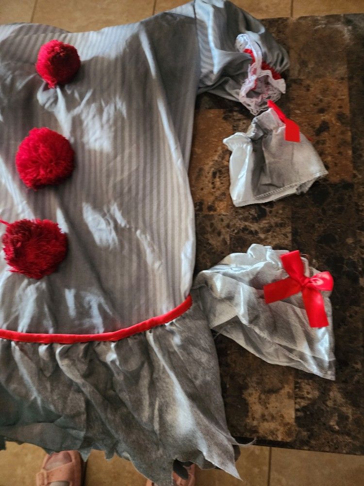 Adult L CLOWN costume