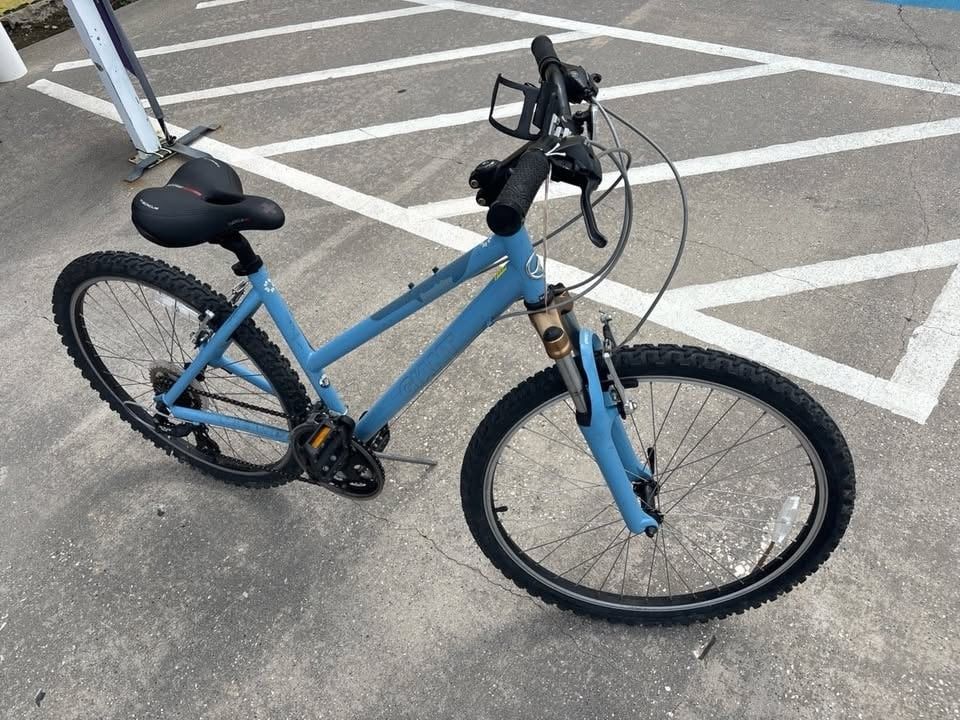 Giant Boulder Mountain Bike - 17 Inch Frame (#22019)