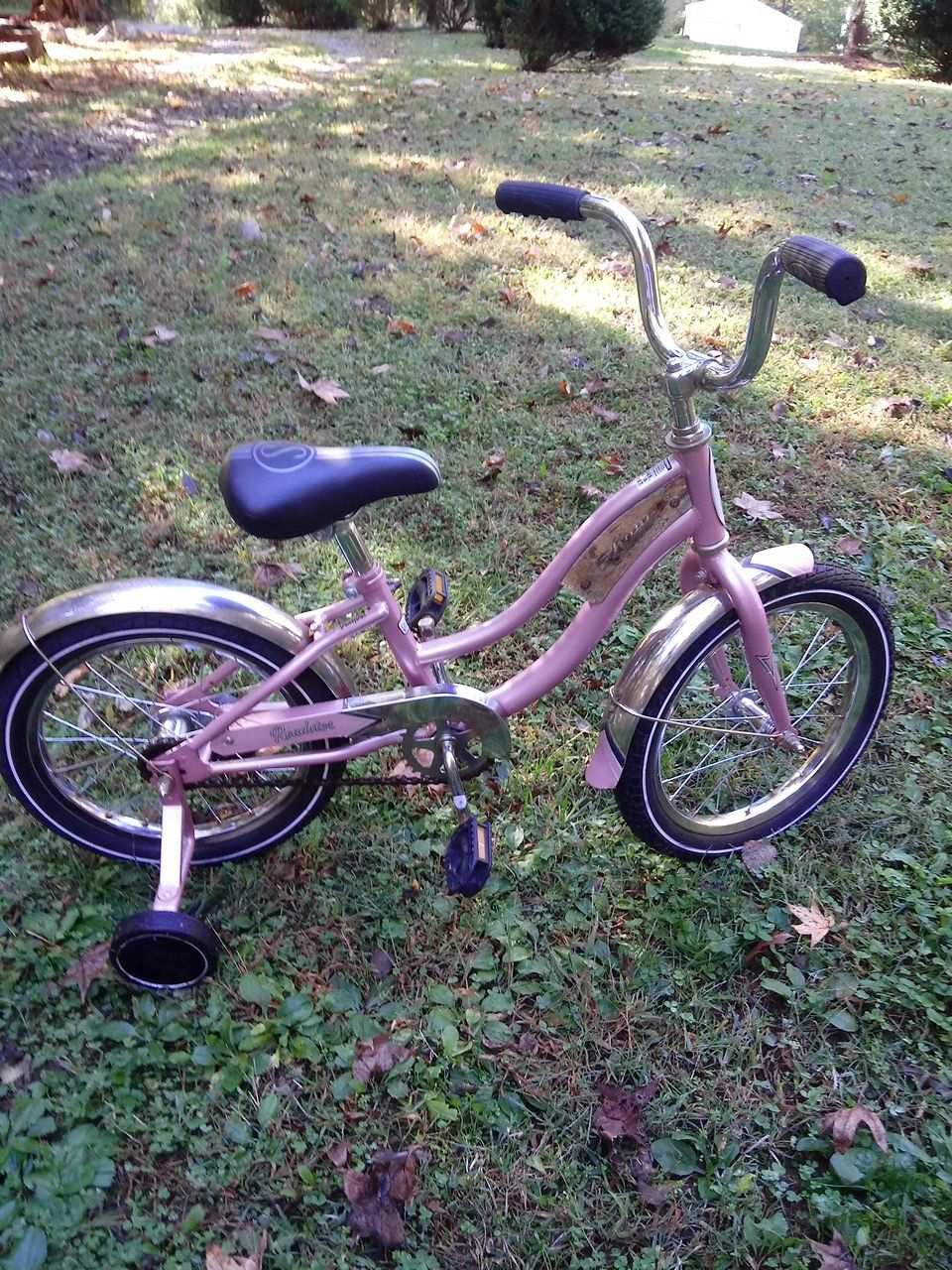 RARE SCHWINN ROADSTER GIRLS MODEL 100 DOLLARS