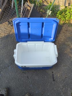 Igloo Cooler