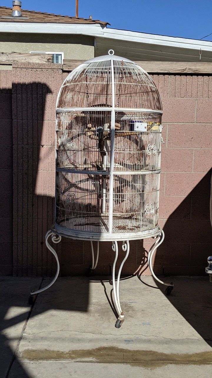 Parrot/ Bird Cage
