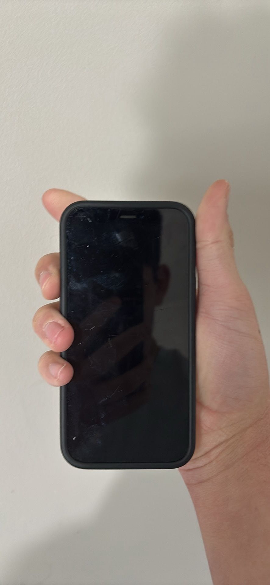 iPhone 12 Mini