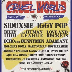 Cruel World 
