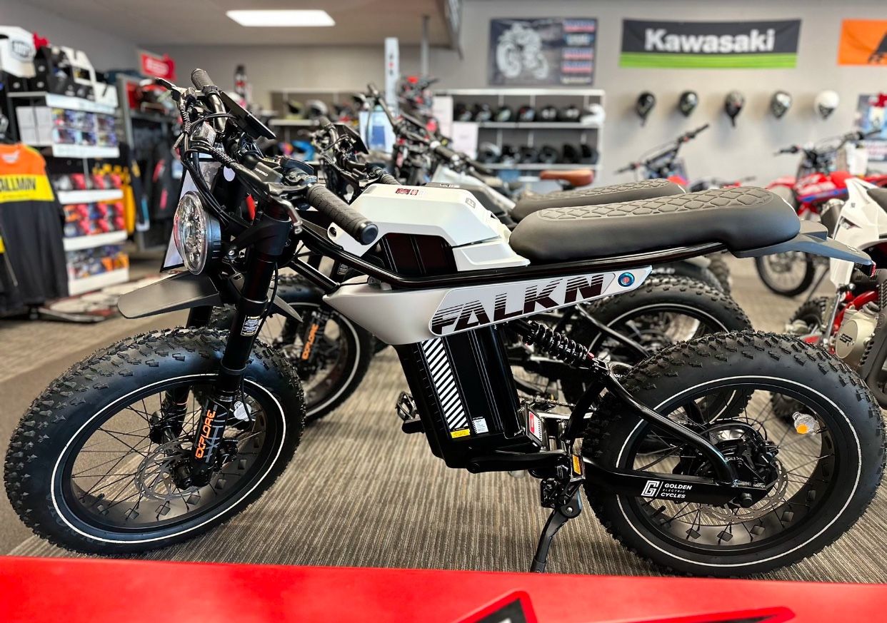 GOLDEN CYCLES FALKN Electric Bike,New Products : American Fashion Style Bags On Sale