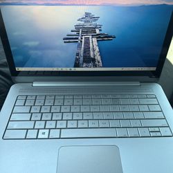 Vizio Laptop 