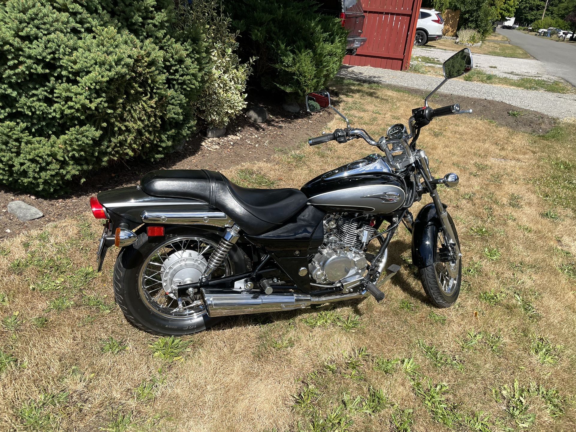 Used avenger foxtail bike