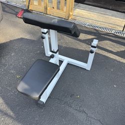 Preacher Curl Bench